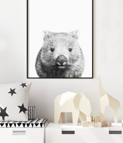 wombat print native australian animal wall art posters