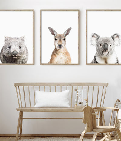 wombat wall art native australian animal nursery prints